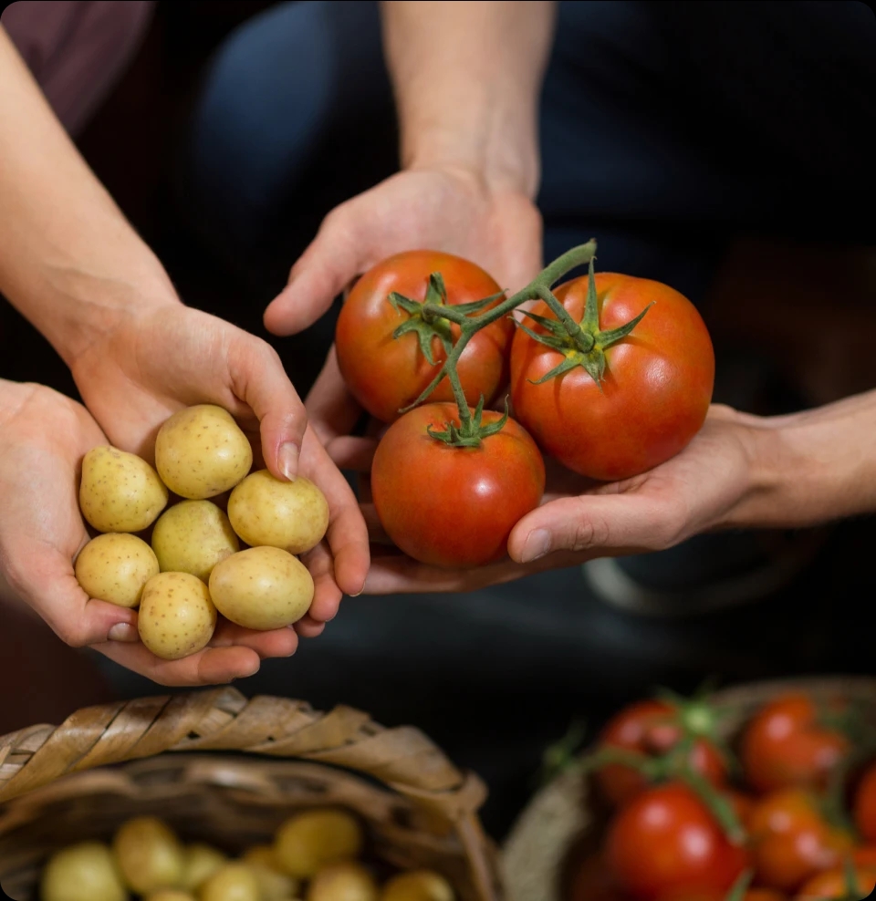 tomato and potato on hand